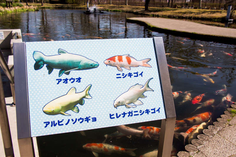 IMG_1286-saitama-suizokukan