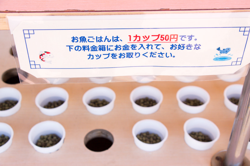 IMG_1292-saitama-suizokukan