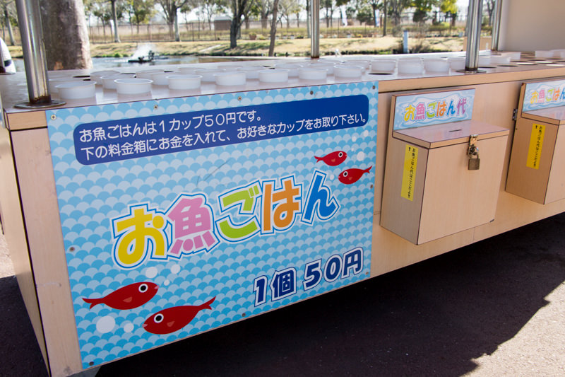 IMG_1294-saitama-suizokukan