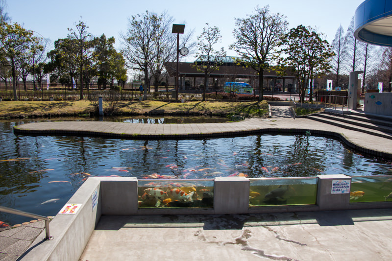IMG_1334-saitama-suizokukan
