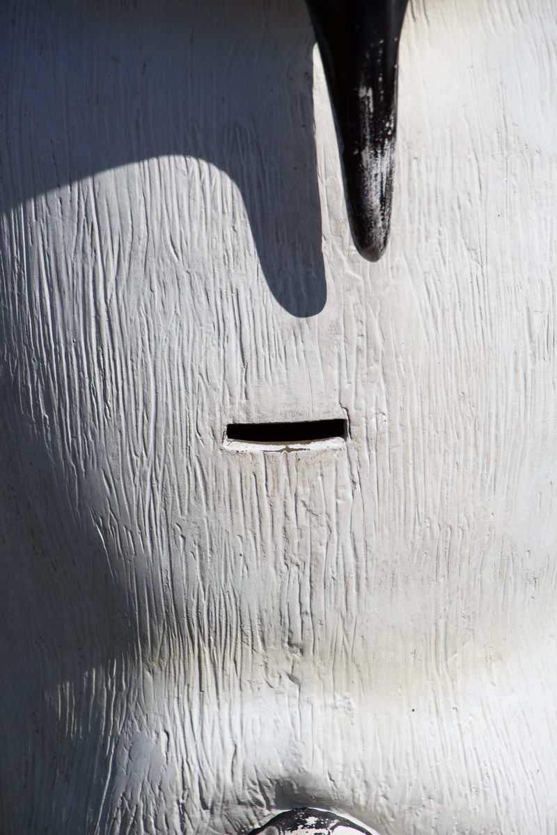 IMG_1346-saitama-suizokukan