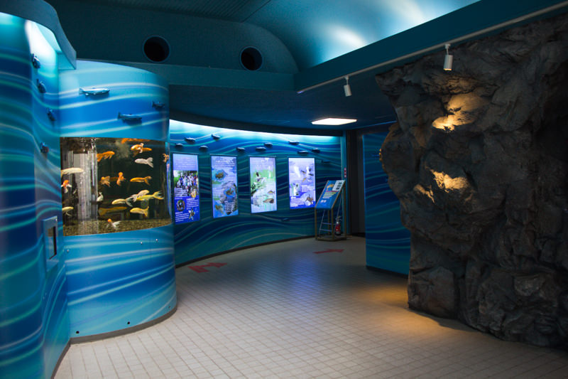 IMG_1370-saitama-suizokukan