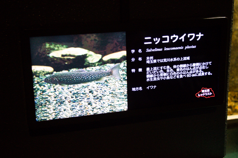 IMG_1388-saitama-suizokukan