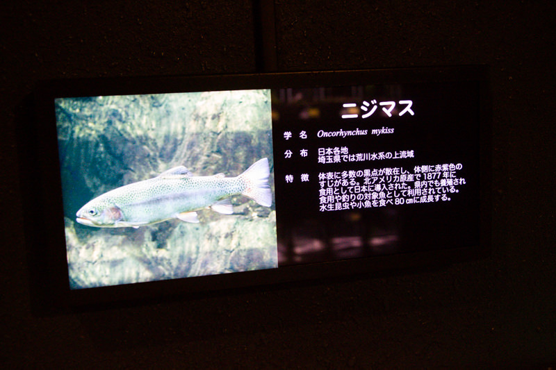 IMG_1406-saitama-suizokukan