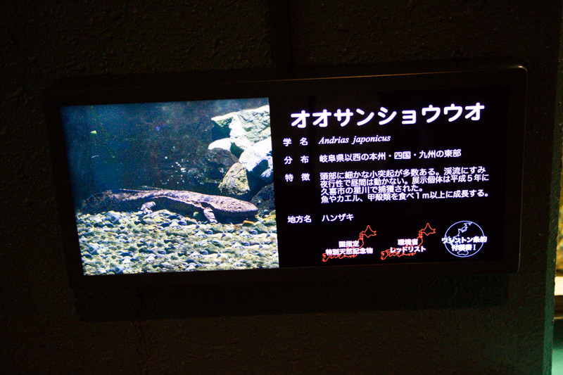 IMG_1421-saitama-suizokukan