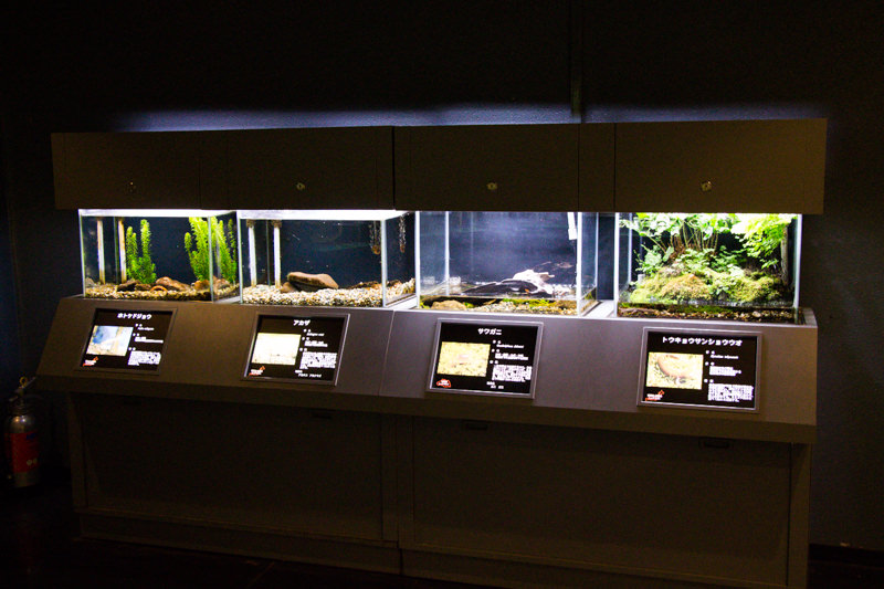 IMG_1427-saitama-suizokukan