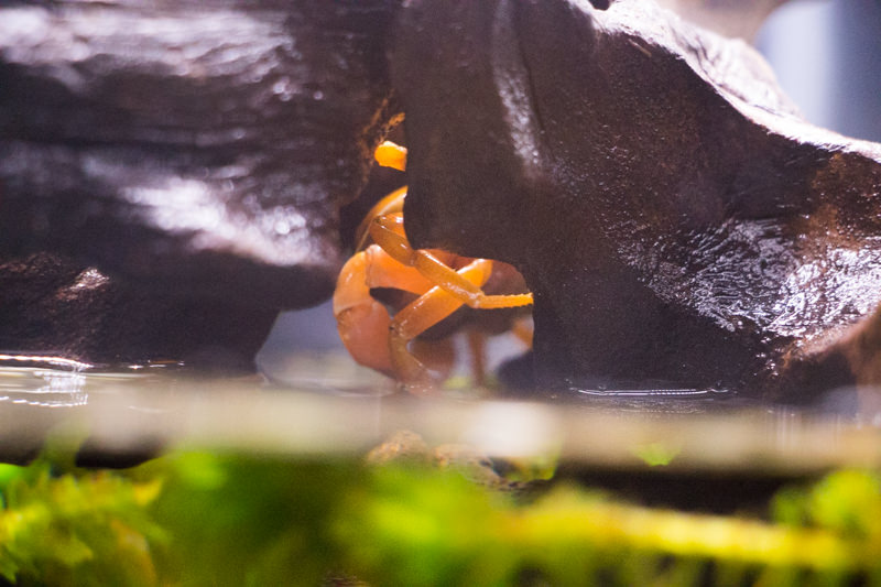 IMG_1433-saitama-suizokukan