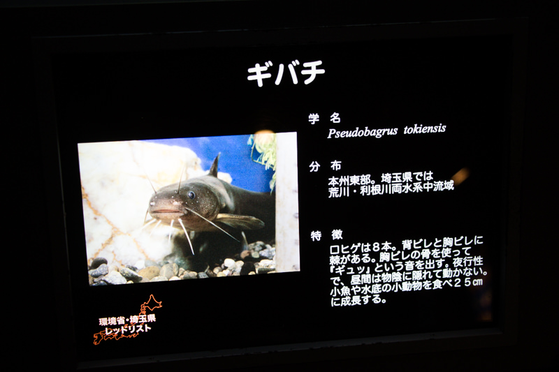 IMG_1492-saitama-suizokukan