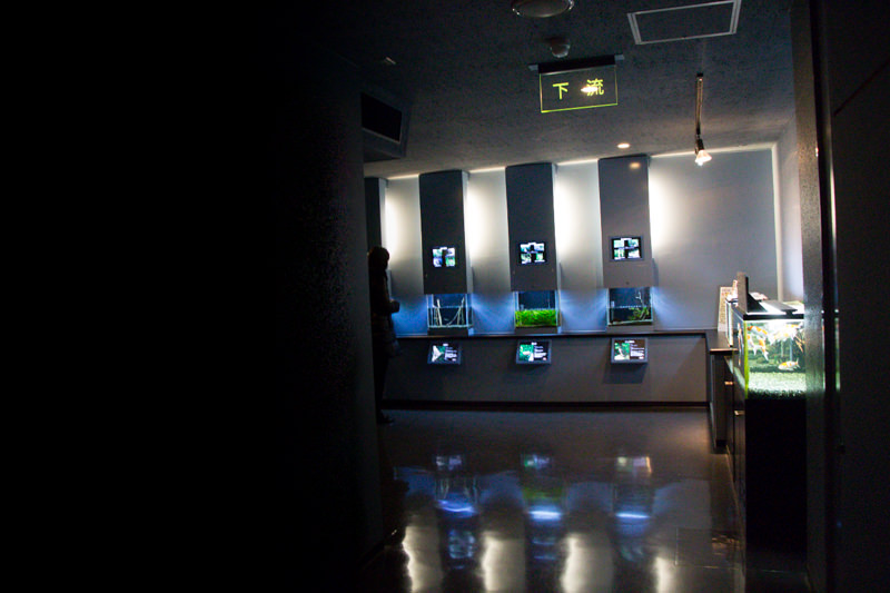 IMG_1501-saitama-suizokukan