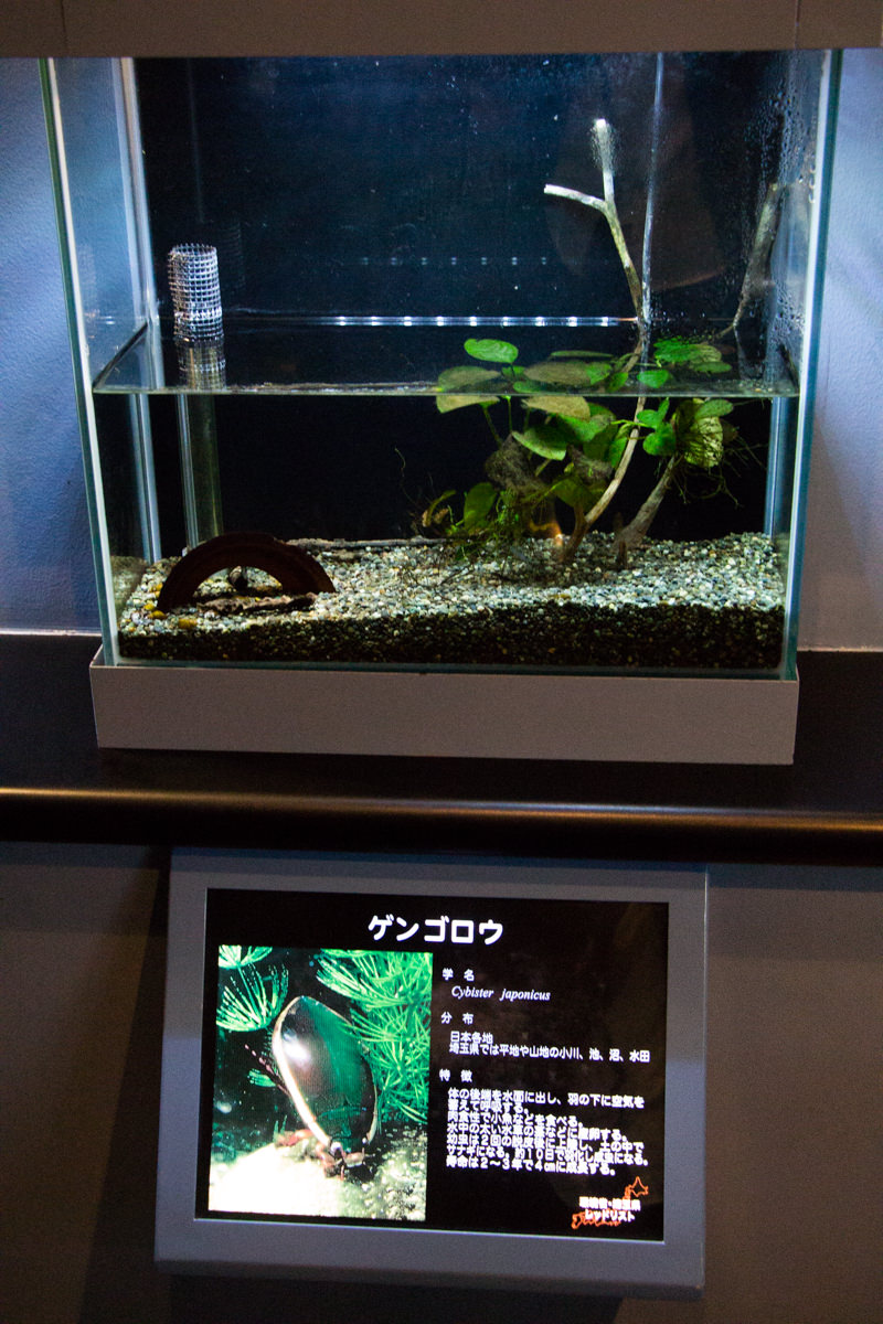 IMG_1521-saitama-suizokukan