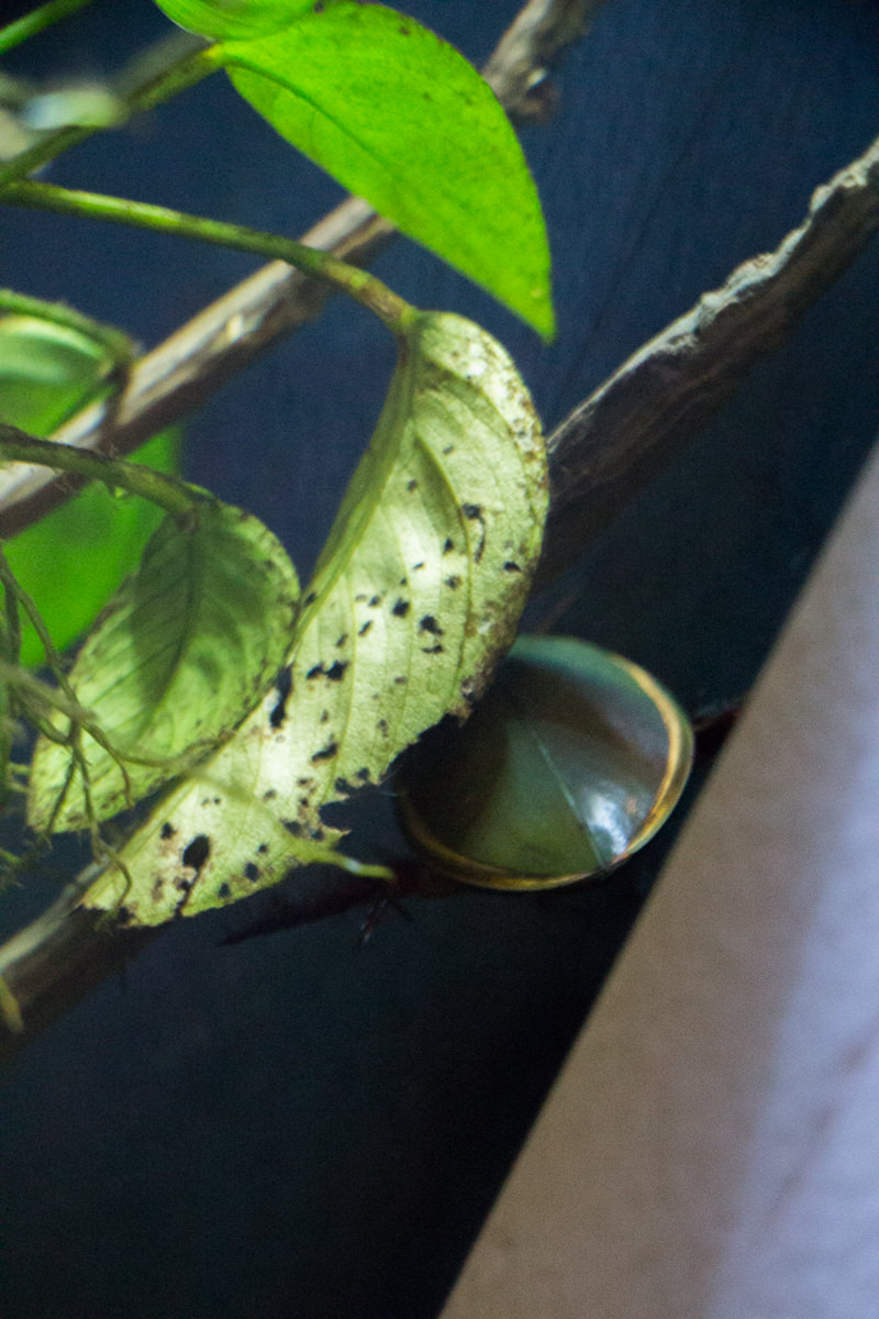 IMG_1522-saitama-suizokukan