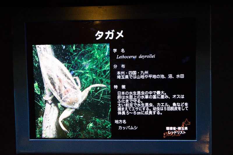 IMG_1524-saitama-suizokukan