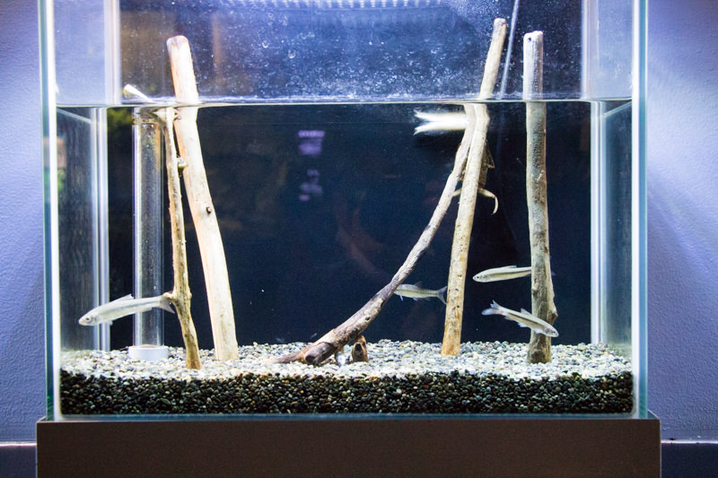 IMG_1525-saitama-suizokukan