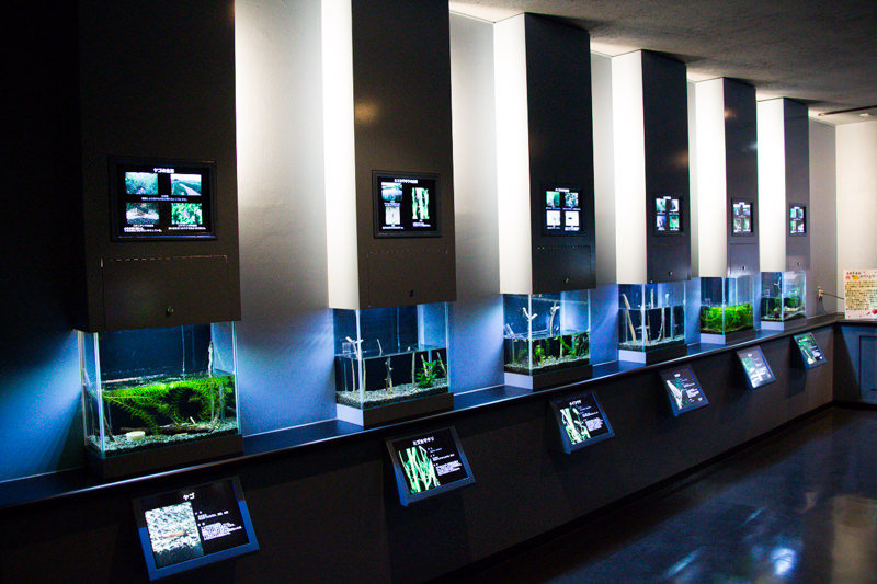 IMG_1557-saitama-suizokukan