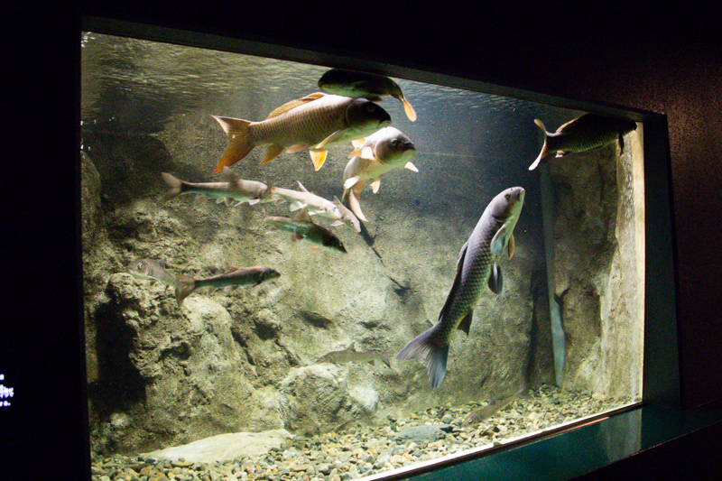 IMG_1569-saitama-suizokukan