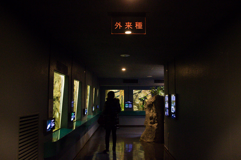 IMG_1599-saitama-suizokukan