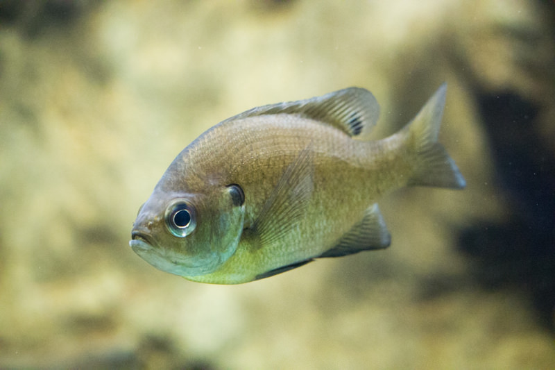 IMG_1603-saitama-suizokukan