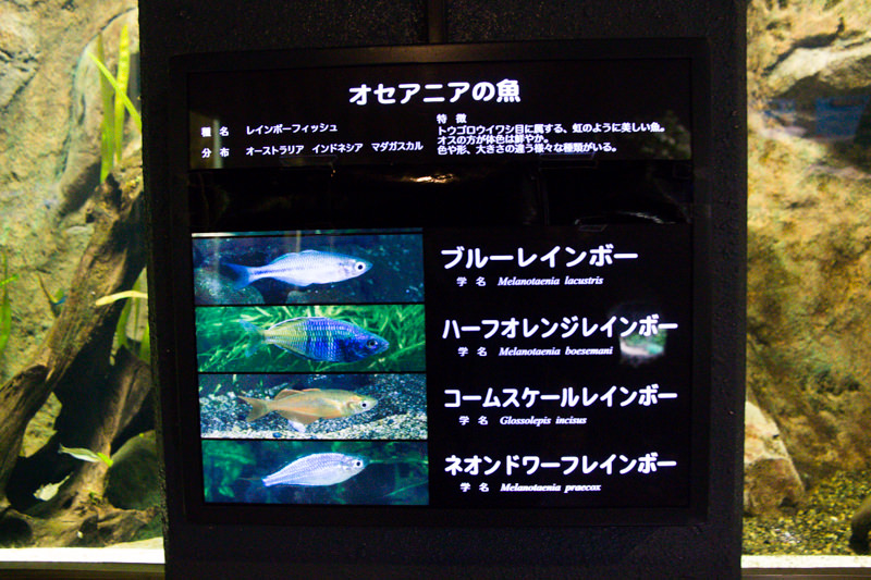 IMG_1610-saitama-suizokukan