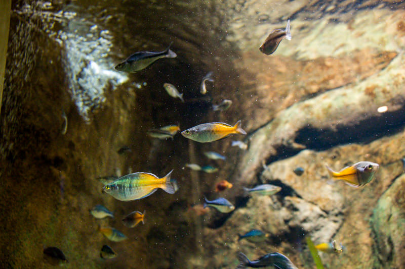 IMG_1614-saitama-suizokukan