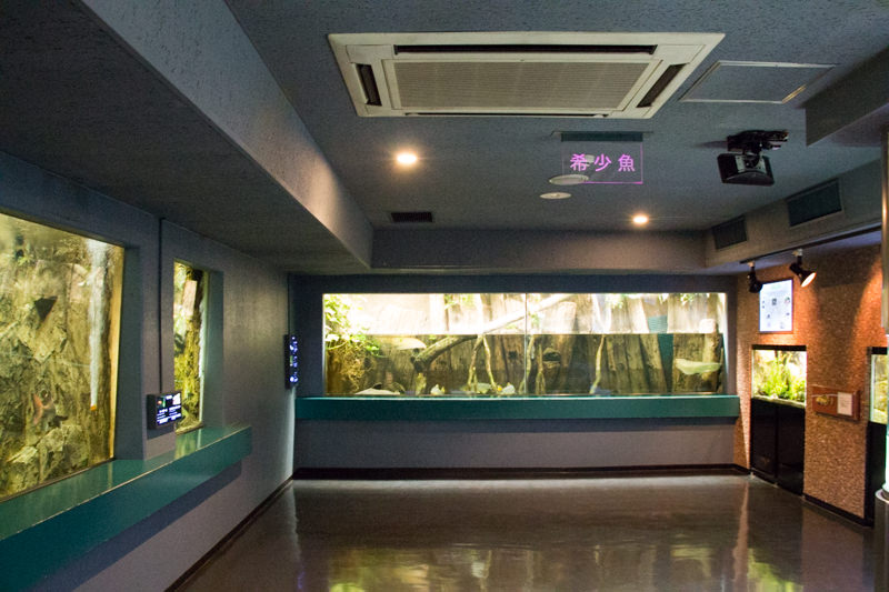 IMG_1630-saitama-suizokukan