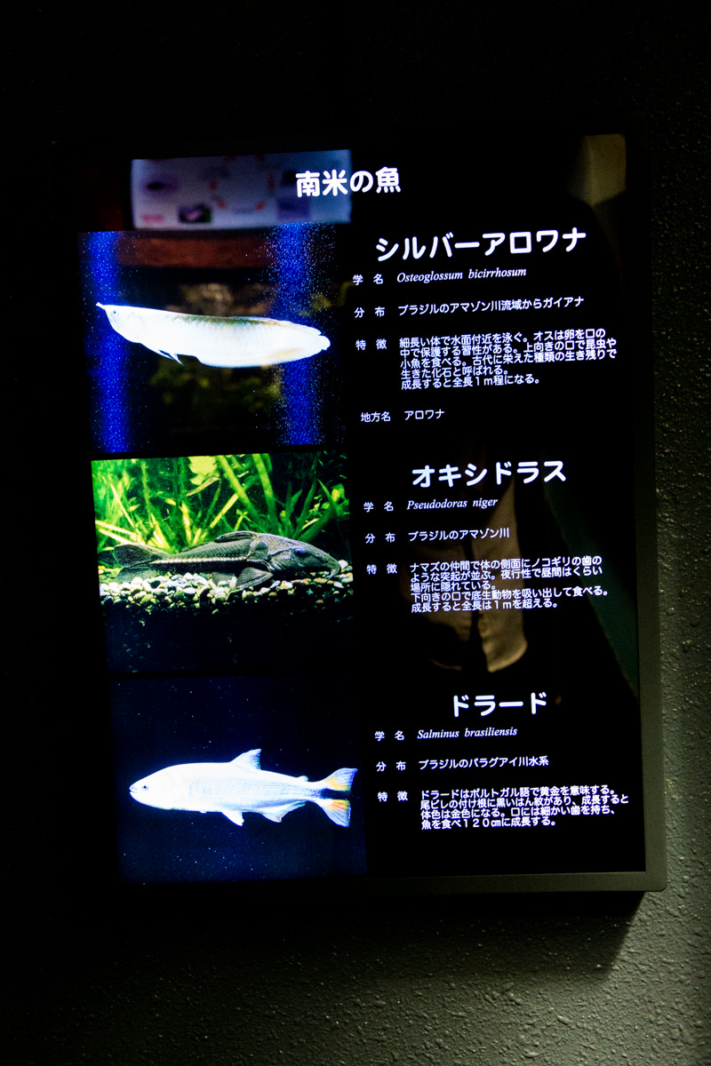 IMG_1642-saitama-suizokukan