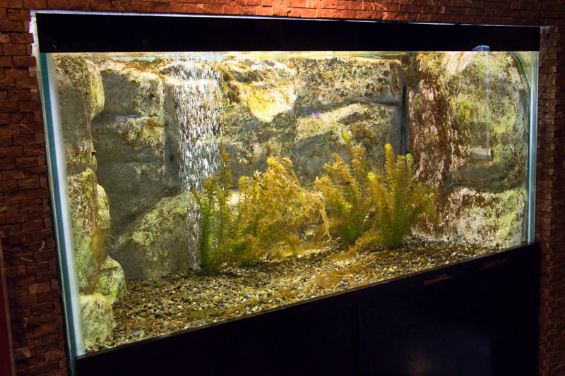 IMG_1654-saitama-suizokukan