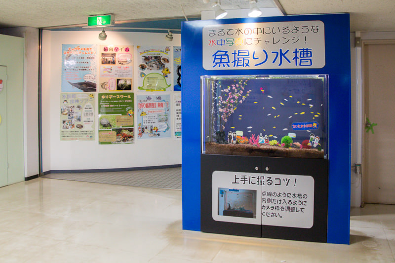 IMG_1670-saitama-suizokukan