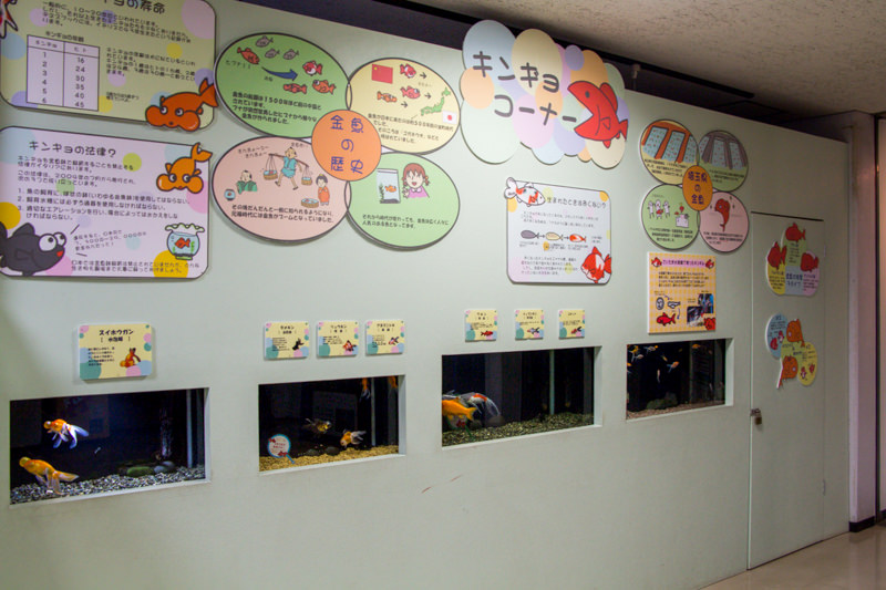 IMG_1673-saitama-suizokukan