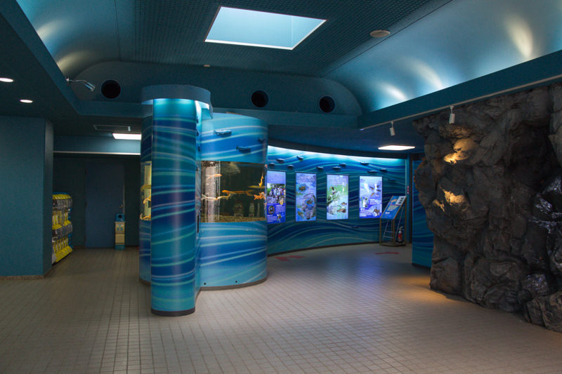 IMG_1692-saitama-suizokukan