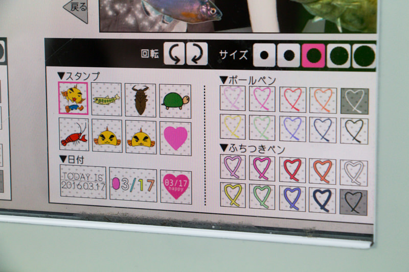 IMG_1706-saitama-suizokukan