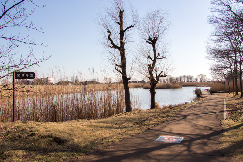 IMG_1720-saitama-suizokukan